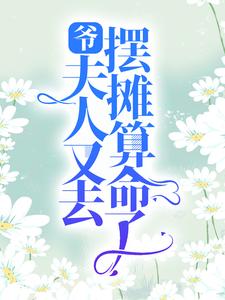 爷，夫人又去摆摊算命了